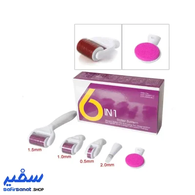 درمارولر شش سر بنفش 6in1